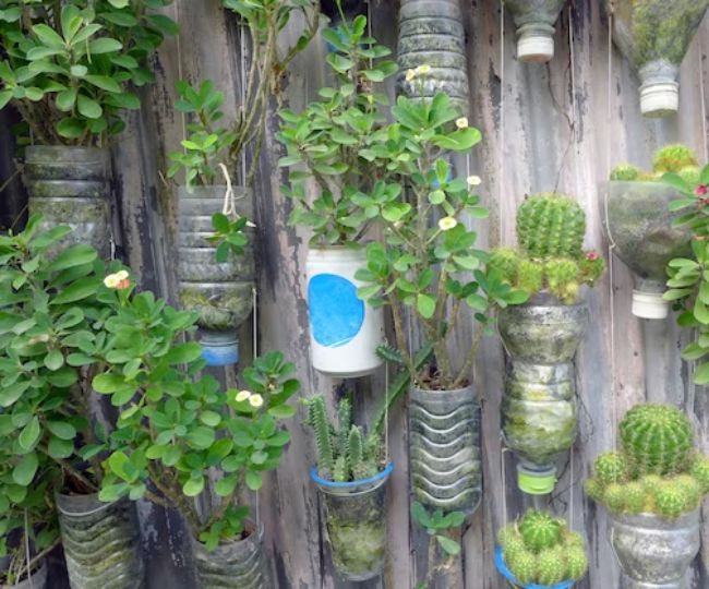 Vertical Gardening Indoor plants
